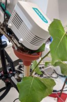 Gas-exchange measurements